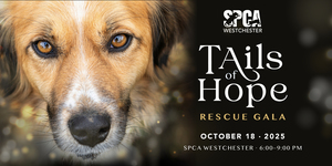 SPCA Tails of Hope Rescue Gala