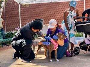 Joybound People & Pets presents: Free Pet Vaccine and Microchip Clinic