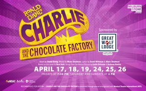 Roald Dahl’s Charlie and the Chocolate Factory