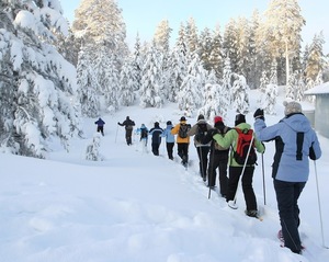 Daytime Snowshoe Tours