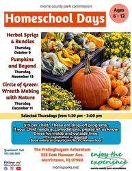 Homeschool Days: Circle of Green: Wreath Making with Nature
