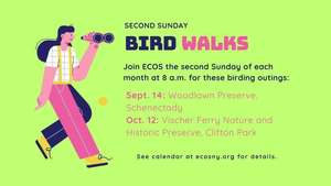 Birding Walk