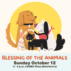 Blessing of the Animals
