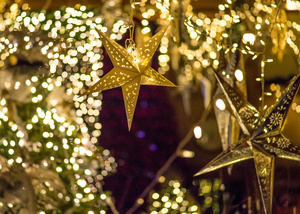 Winter Lights - Advance Registraion