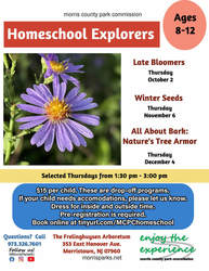 Homeschool Explorers: All About Bark: Nature's Tree Armor