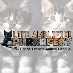 Life Amplified PURRRFECT