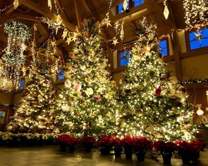 Winter Lights - Opening Night!