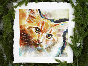 Pet Portrait Workshop