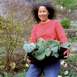 Ridgefield Garden Club: Great Trees and Shrubs for Sustainable Landscapes