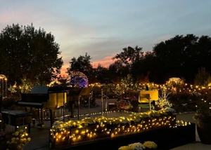 Simply Baroque: Music in the Rose Garden