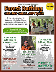 Forest Bathing with Rich Collins, ANFT Guide