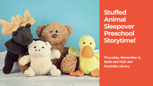 Stuffed Animal Sleepover Preschool Storytime!