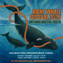 2025 Right Whale Festival