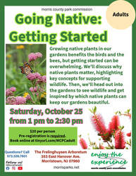 Going Native: Getting Started