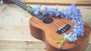 Ukulele Workshop