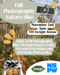 Fall Photography Nature Hike