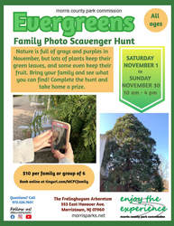 Scavenger Hunt: Evergreens