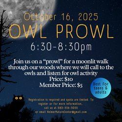 Owl Prowl