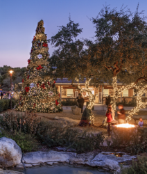 CHRISTMAS AT THE CAVERNS