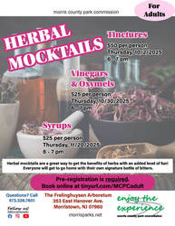 Herbal Mocktails: Syrups
