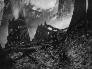 Sound & Image Performance: Chris Leventis