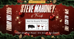 Steve Mahoney & Friends at South Slope