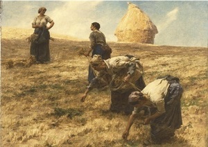 Farm To Table Exhibit @ SAM