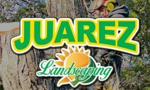 Juarez Landscaping and Tree Services