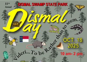11th annual DISMAL DAY & Fun Run/Walk
