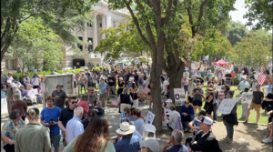 Yolo County NO KINGS March and Rally