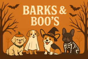 Barks & Boo's – Brooklyn Basin Small Dog Meetup
