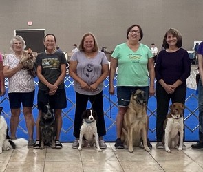Dog Obedience Classes Begin 7PM, Tuesday, Nov. 11, 2025