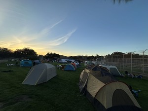 Spooky Campover at Lions Tigers & Bears