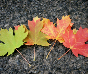 Embracing Change: Home, Finances, and Fulfillment