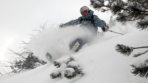 Warren Miller's SNO-CIETY