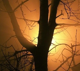 3rd Annual Ghost Story Wine Walk-Night 1