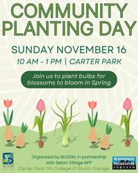 Community Planting Day