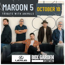 Maroon 5 Tribute | Animals