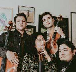 Owls presents Rare Birds