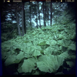 “Photography: An Introduction” with Veteran Photographer Shane Gutierrez