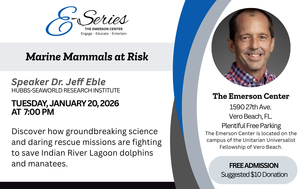 Marine Mammals at Risk: The Fight to Save IRL Dolphins and Manatees