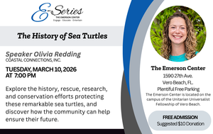 Olivia Redding on the History of Sea Turtles