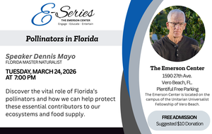 Pollinators in Florida: Nature’s Essential Workers Take Center Stage