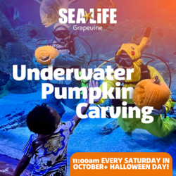 Underwater Pumpkin Carving at SEA LIFE Grapevine