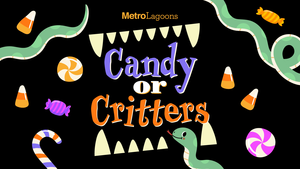 Epperson Lagoon Candy or Critters: Trick or Treat