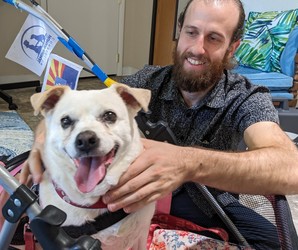 Healing Touch for Animals