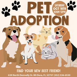 Mount Dora Pet Adoption Event - Find Your New Best Friend!