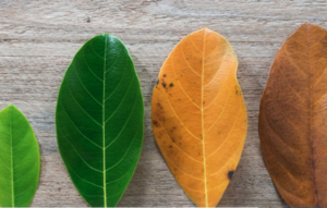 Unlocking the Power of Lifecycle Marketing