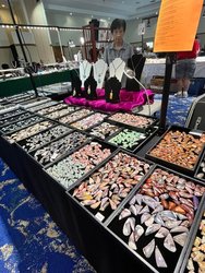 48th Annual Rock, Gem and Jewelry Show