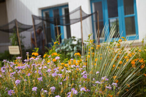 Gardens of Canoa Ranch